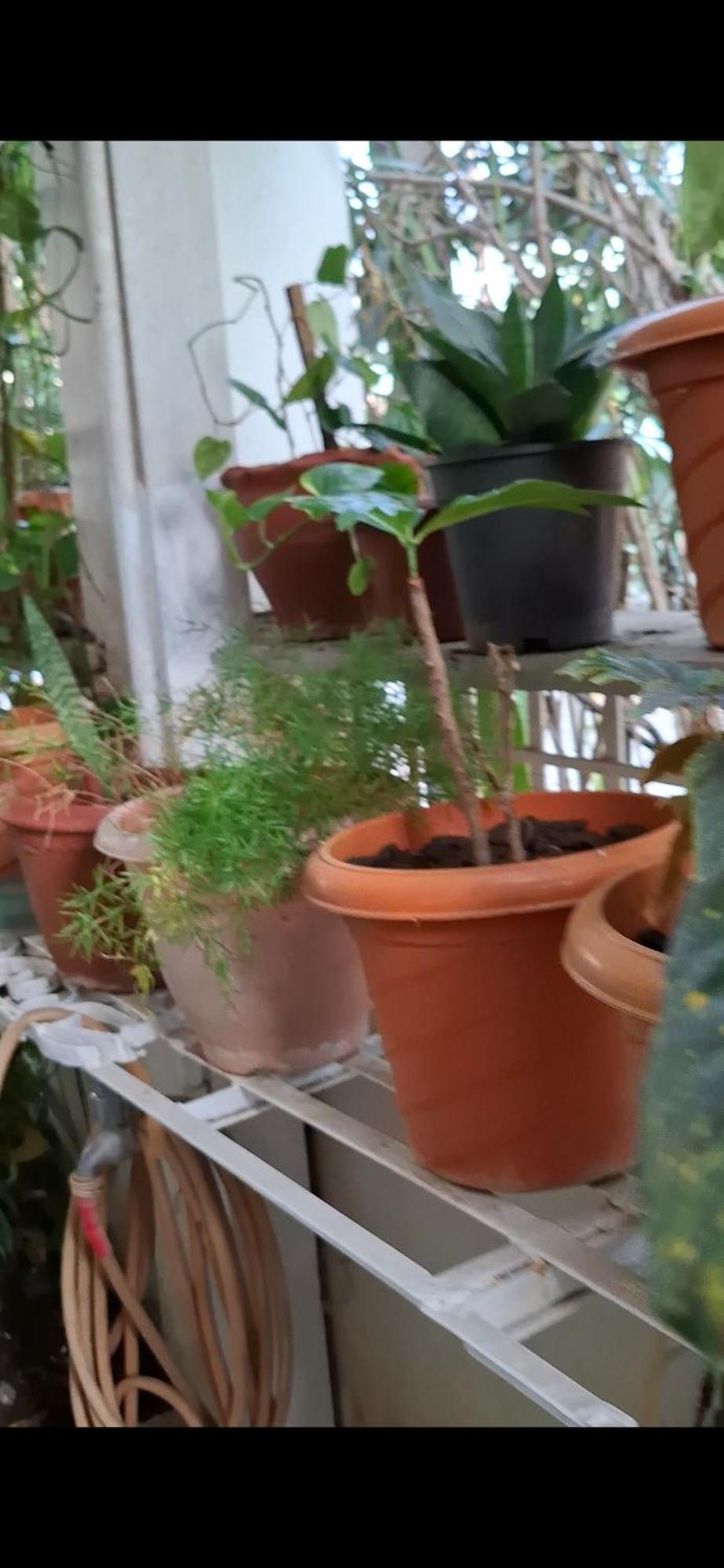 2Bhk Chandra Jyoti Villa Nit Garden Nagpur Dış mekan fotoğraf