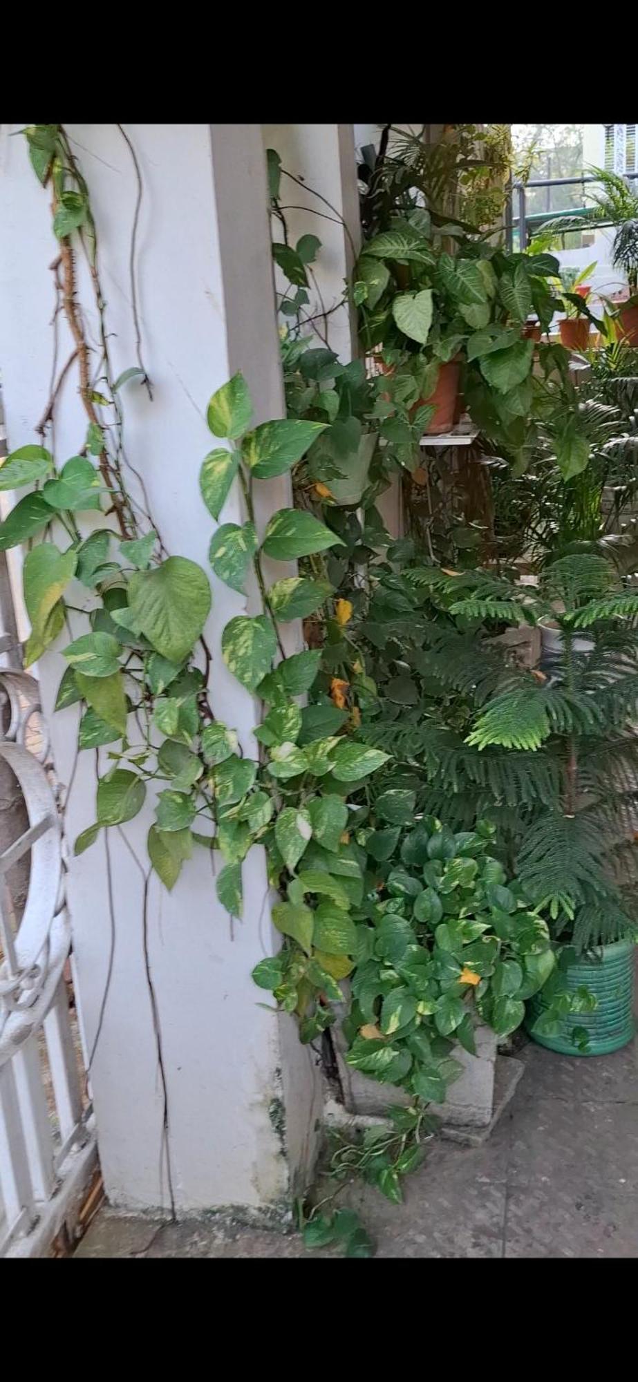 2Bhk Chandra Jyoti Villa Nit Garden Nagpur Dış mekan fotoğraf